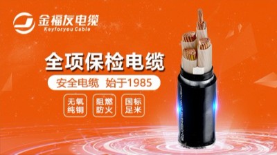 金福友電纜丨榜樣的力量，月度優秀進步標兵與團隊表彰！