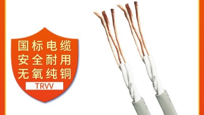 RVV與TRVV的區別